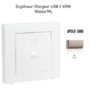 Enjoliveur pour Chargeur USB Type C Power Delivery 65w 50666TPL