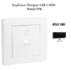 Enjoliveur pour Chargeur USB Type C Power Delivery 65w 50666TPM
