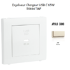 Enjoliveur pour Chargeur USB Type C Power Delivery 65w 50666TMF