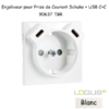 enjoliveur prise schuko avec usb C+C LOGUS 90637TBR
