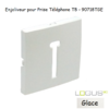 Enjoliveur pour prise de téléphone Française T8 Logus 90718TGE Glace