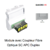 Module avec coupleur de fibre optique SC APC Duplex Quadro 45448SAL Alumine