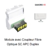 Module avec coupleur de fibre optique SC APC Duplex Quadro 45448SBM Blanc MAT