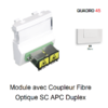 Module avec coupleur de fibre optique SC APC Duplex Quadro 45448SBR Blanc