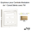 Enjoliveur pour centrale modulaire de 1 canal stéréo avec FM logus90 90852TDU Doré