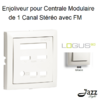 Enjoliveur pour centrale modulaire de 1 canal stéréo avec FM logus90 90852TGE Glace