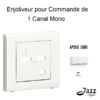 Enjoliveur pour commande de 1 canal Mono APOLO5000 50700TBR Blanc
