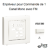 Enjoliveur pour commande de 1 canal mono avec FM APOLO5000 50703TBR Blanc