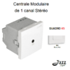 Centrale modulaire de 1 canal Stéréo 2 modules quadro45 45391SBM Blanc MAT