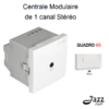 Centrale modulaire de 1 canal Stéréo 2 modules quadro45 45391SBR Blanc