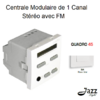 Centrale modulaire de 1 canal Stéréo avec FM 2 modules quadro45 45392SBM Blanc MAT