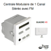 Centrale modulaire de 1 canal Stéréo avec FM 2 modules quadro45 45392SBR Blanc