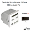 Centrale modulaire de 1 canal Stéréo avec FM 2 modules quadro45 45392SPM Noir MAT