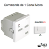 Commande de 1 canal Mono 2 modules quadro45 45371SBR Blanc