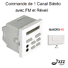 Commande de 1 canal Stéréo avec FM et Réveil 2 modules quadro45 45379SBR Blanc
