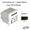 Commande de 1 canal Stéréo avec FM et Réveil 2 modules quadro45 45379SPM Noir MAT