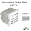 Commande de 1 canal Stéréo avec FM modules quadro45 45377SAL Alumine