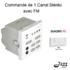 Commande de 1 canal Stéréo avec FM modules quadro45 45377SBM Blanc MAT