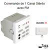 Commande de 1 canal Stéréo avec FM modules quadro45 45377SBR Blanc
