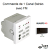 Commande de 1 canal Stéréo avec FM modules quadro45 45377SPM Noir MAT