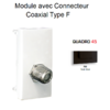 Module avec connecteur Coaxial Type F Quadro 45979SPM Noir MAT