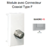 Module avec connecteur Coaxial Type F Quadro 45979SAL Alumine