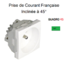 Prise de courant française inclinée 45° 2 modules Quadro 45112SVD Vert