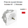 Prise de courant schuko inclinée 45° 2 modules Quadro 45132SVM Rouge