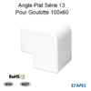 Angle plat pour goulotte 100x60 série 13 13083ABR