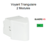 voyant-triangulaire-2-modules-quadro-45362svd-vert