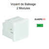 voyant-de-balisage-2-modules-quadro-45361svd-vert