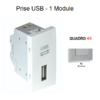Prise USB Quadro 45437SAL Alumine