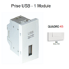 Prise USB Quadro 45437SBM Blanc MAT