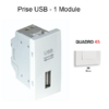 Prise USB Quadro 45437SBR Blanc