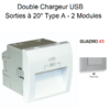 Double Chargeur USB Sorties20° TypeA 2 modules Quadro 45384SAL Alumine