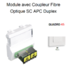 Module avec coupleur de fibre optique SC APC Duplex Quadro 45448SBR Blanc