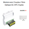 Module avec coupleur de fibre optique SC APC Duplex Quadro 45448SBM Blanc MAT