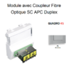 Module avec coupleur de fibre optique SC APC Duplex Quadro 45448SAL Alumine