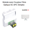 Module avec coupleur de fibre optique SC APC Simple Quadro 45447SBM Blanc MAT