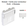 Module 1 sortie pour connecteur RJ45 45976SBR Blanc