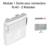 Module 1 sortie pour connecteur RJ45 45976SAL Alumine