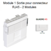 Module 1 sortie pour connecteur RJ45 45976SBM Blanc MAT