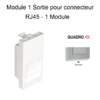 Module 1 sortie pour connecteur RJ45 45977SAL Alumine