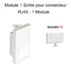 Module 1 sortie pour connecteur RJ45 45977SBR Blanc