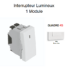 Interrupteur Lumineux 1 module Quadro 45015SBM Blanc MAT