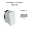 Interrupteur Lumineux 1 module Quadro 45015SAL Alumine