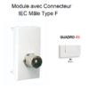 Module avec connecteur IEC Mâle Type F Quadro 45982SBR Blanc