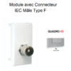 Module avec connecteur IEC Mâle Type F Quadro 45982SAL Alumine