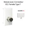 Module avec connecteur IEC Femelle Type F Quadro 45983SBR Blanc