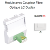 Module avec coupleur de fibre optique LC Duplex Quadro 45449SBR Blanc